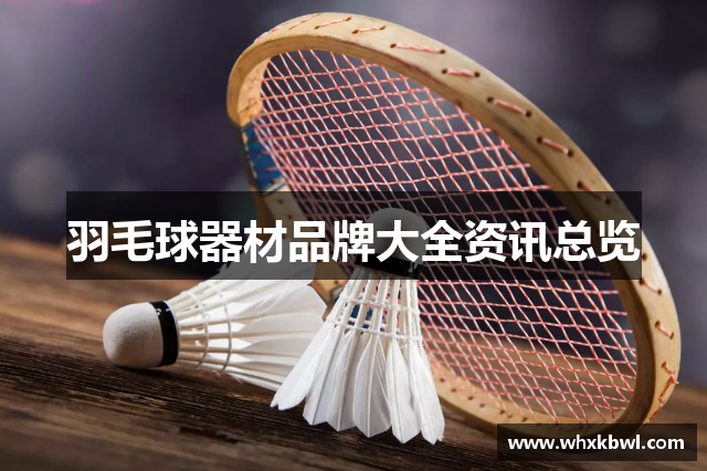 羽毛球器材品牌大全资讯总览