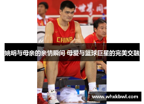 姚明与母亲的亲情瞬间 母爱与篮球巨星的完美交融