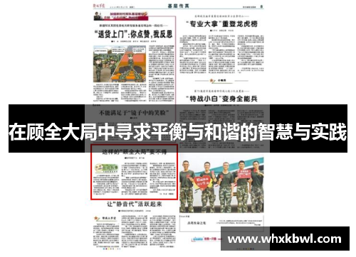 在顾全大局中寻求平衡与和谐的智慧与实践